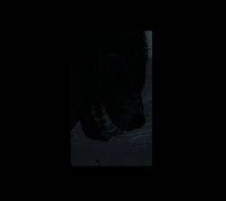 Abysmal Growls Of Despair : Nothing More Humane